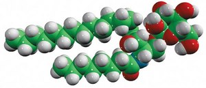 C8 Galactosyl(α) Ceramide (d18:1/8:0) D-galactosyl-α-1,1′ N-octanoyl-D-erythro-sphingosine, powder