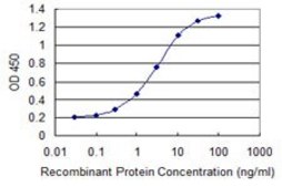 Monoclonal Anti-TRIM17 antibody produced in mouse clone 2E11, purified immunoglobulin, buffered aqueous solution