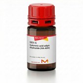 Hyaluronic acid adipic dihydrazide (HA-ADH)