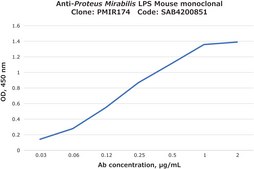 Anti-Proteus mirabilis LPS antibody, Mouse monoclonal clone PMIR174, purified from hybridoma cell culture