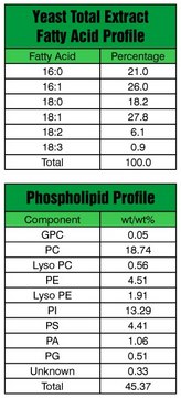 Yeast Extract Total Avanti Polar Lipids