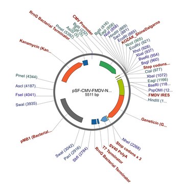 PSF-CMV-FMDV-NEO/G418 - FMDV IRES G418 EXPRESSION PLASMID plasmid vector for molecular cloning