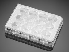 Corning® Falcon® Permeable Support Companion Plate wells, 12, Tissue Culture (TC)-treated surface, lid, sterile