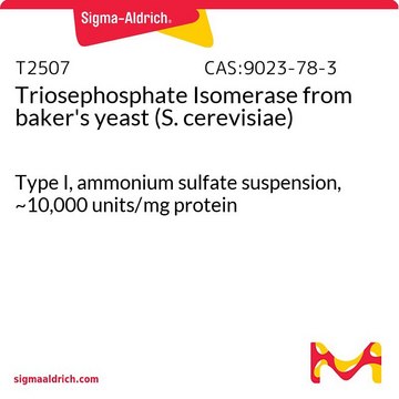 磷酸丙糖异构酶 来源于面包酵母（酿酒酵母） Type I, ammonium sulfate suspension, ~10,000&#160;units/mg protein