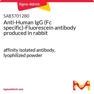 Anti-Human IgG (Fc specific)-Fluorescein antibody produced in rabbit affinity isolated antibody, lyophilized powder