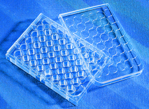 康宁&#174; CellBIND&#174;多孔板 size 12&#160;wells, flat clear bottom, sterile, lid