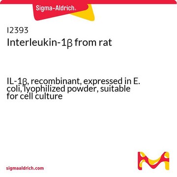 Interleukin-1&#946; from rat IL-1&#946;, recombinant, expressed in E. coli, lyophilized powder, suitable for cell culture