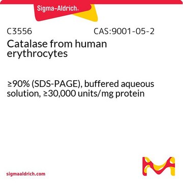 过氧化氢酶 来源于人类红细胞 &#8805;90% (SDS-PAGE), buffered aqueous solution, &#8805;30,000&#160;units/mg protein