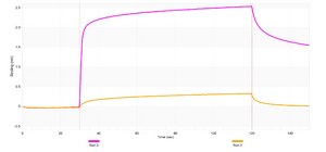 Anti-Ovalbumin Antibody, clone 3G13 ZooMAb® Rabbit Monoclonal recombinant, expressed in HEK 293 cells