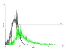 Anti-IL7R antibody produced in mouse purified immunoglobulin, buffered aqueous solution