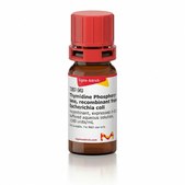 胸苷磷酸化酶，重组 来源于大肠杆菌 recombinant, expressed in E. coli, buffered aqueous solution, ≥500 units/mL