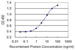 Monoclonal Anti-SLC26A2 antibody produced in mouse clone 3F6, purified immunoglobulin, buffered aqueous solution