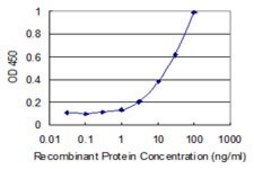 Monoclonal Anti-C6orf166 antibody produced in mouse clone 3D9, purified immunoglobulin, buffered aqueous solution