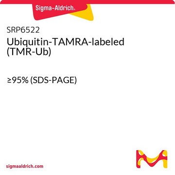 Ubiquitin-TAMRA-labeled (TMR-Ub) &#8805;95% (SDS-PAGE)