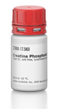 Creatine Phosphokinase from bovine heart Type III, salt-free, lyophilized powder, &#8805;30&#160;units/mg protein