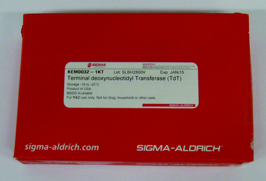 Terminal deoxynucleotidyl Transferase (TdT) Ultra-pure enzyme for nucleic acid modifications