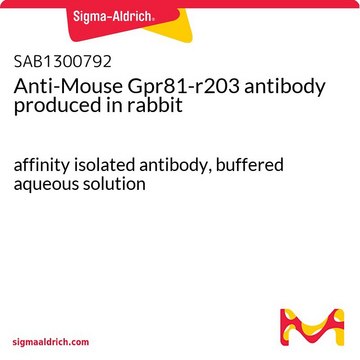 Anti-Mouse Gpr81-r203 antibody produced in rabbit affinity isolated antibody, buffered aqueous solution