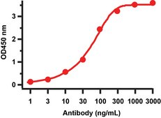 Anti-SARS-CoV-2 (COVID-19) Membrane antibody produced in rabbit affinity isolated antibody