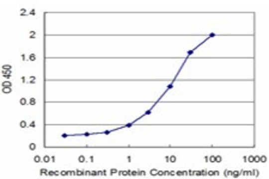 Monoclonal Anti-SLC7A7, (C-terminal) antibody produced in mouse clone 3B10, purified immunoglobulin, buffered aqueous solution