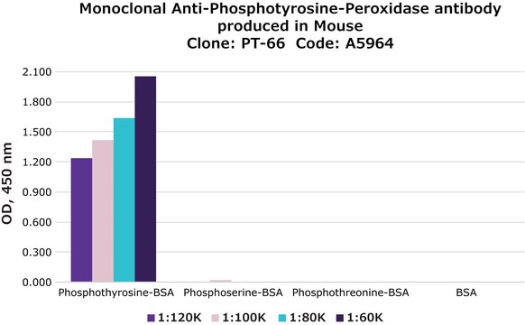 Monoclonal Anti-Phosphotyrosine–Peroxidase antibody produced in mouse clone PT-66, purified immunoglobulin, lyophilized powder