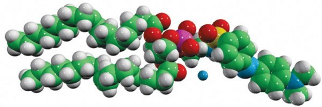 18:1 Dabsyl PE Avanti Polar Lipids 810509P, powder