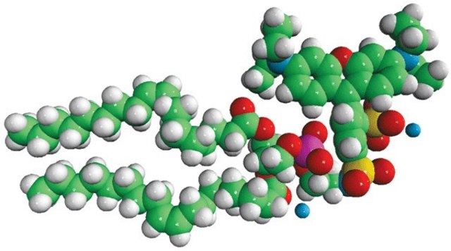 18:1 Liss Rhod PE Avanti Polar Lipids