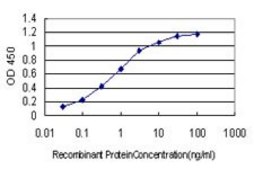 Monoclonal Anti-RSU1 antibody produced in mouse clone 1C6, purified immunoglobulin, buffered aqueous solution