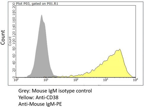 Anti-CD38 Antibody, clone 2H3-2