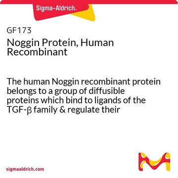 Noggin Protein, Human Recombinant The human Noggin recombinant protein belongs to a group of diffusible proteins which bind to ligands of the TGF-&#946; family &amp; regulate their activity by inhibiting their access to signaling receptors.