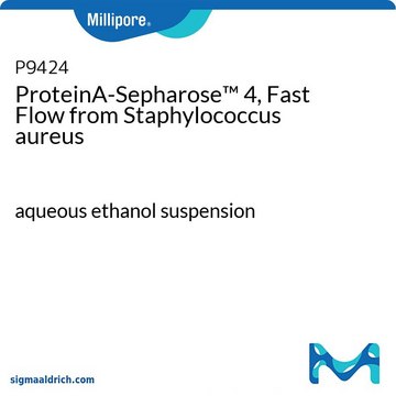 ProteinA-Sepharose&#8482; 4, Fast Flow 来源于金黄色葡萄球菌 aqueous ethanol suspension