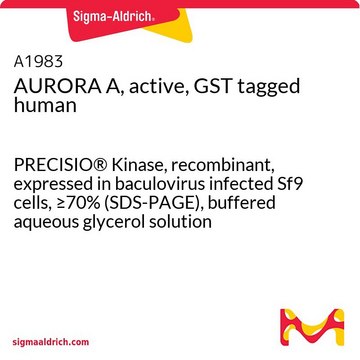 带有 GST 标签的有源 AURORA A 人 PRECISIO&#174; Kinase, recombinant, expressed in baculovirus infected Sf9 cells, &#8805;70% (SDS-PAGE), buffered aqueous glycerol solution