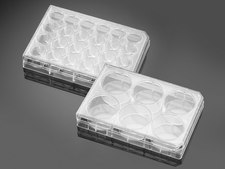 Corning® BioCoat™ Poly-L-Ornithine/Laminin Multiwell Plate well size 6 wells, flat bottom clear wells, lid