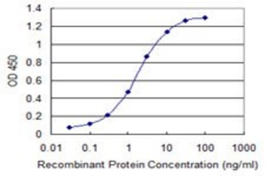 Monoclonal Anti-CNOT7 antibody produced in mouse clone 2C4, purified immunoglobulin, buffered aqueous solution