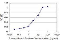 Monoclonal Anti-PTF1A, (C-terminal) antibody produced in mouse clone 4B1, purified immunoglobulin, buffered aqueous solution
