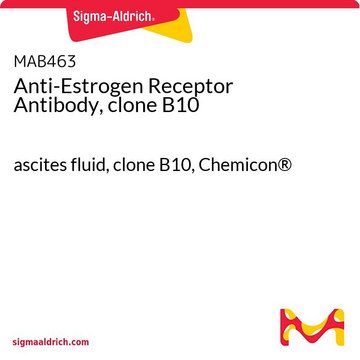 Anti-Estrogen Receptor Antibody, clone B10 ascites fluid, clone B10, Chemicon&#174;