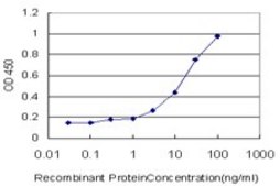 Monoclonal Anti-TAOK3 antibody produced in mouse clone 4C12, purified immunoglobulin, buffered aqueous solution