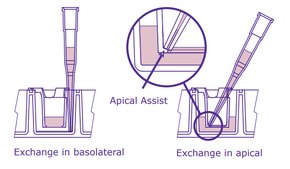 Millicell&#174; 6 well hanging cell culture inserts pore size 3.0&#160;&#956;m, clear PET membrane, diam. 24&#160;mm, Tissue Culture (TC)-treated surface, sterile