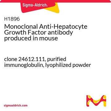 Monoclonal Anti-Hepatocyte Growth Factor antibody produced in mouse clone 24612.111, purified immunoglobulin, lyophilized powder