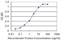 ANTI-KIT antibody produced in mouse clone 5A11, purified immunoglobulin, buffered aqueous solution