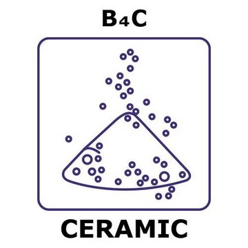 Boron carbide powder, 45 max. part. size (micron), weight 100&#160;g, purity 99%