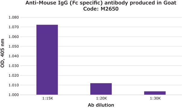 抗 小鼠 IgG（Fc 特异性） 山羊抗 affinity isolated antibody, buffered aqueous solution