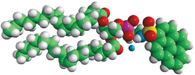 18:1 Pyrene PE Avanti Polar Lipids 810331P, powder