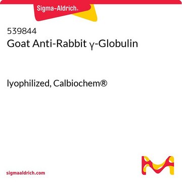 Goat Anti-Rabbit &#947;-Globulin lyophilized, Calbiochem&#174;