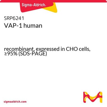 VAP-1 人 recombinant, expressed in CHO cells, &#8805;95% (SDS-PAGE)