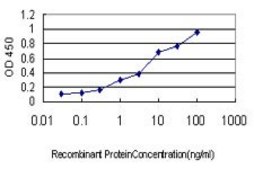 Monoclonal Anti-GCG antibody produced in mouse clone 2D3-2B11, purified immunoglobulin, buffered aqueous solution