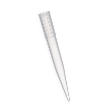 Sorenson™ low binding standard tips maximum volume 1000 μL, non-sterile