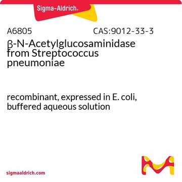 &#946;-N-乙酰葡糖胺酶 来源于肺炎链球菌 recombinant, expressed in E. coli, buffered aqueous solution