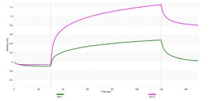 Anti-TBX4 Antibody, clone 2B18 ZooMAb® Rabbit Monoclonal recombinant, expressed in HEK 293 cells