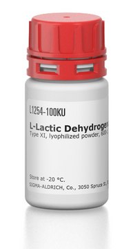 L-Lactic Dehydrogenase from rabbit muscle Type XI, lyophilized powder, 600-1,200&#160;units/mg protein