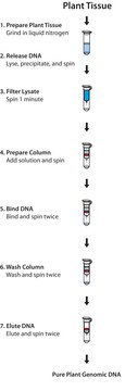 GenElute&#8482; 植物基因组 DNA 微量制备试剂盒 sufficient for 70&#160;purifications